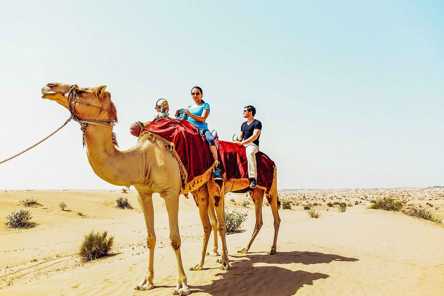 Camels walking through golden sand dunes during desert tour Dubai