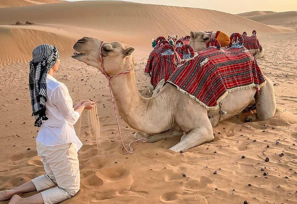 Camel Ride with Quad Bike Ride | Desert Adventure Experience