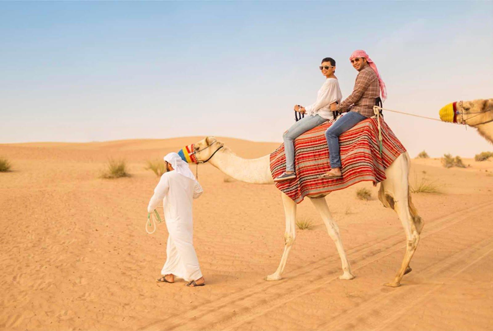 Camel caravan walking through Dubai desert during safari experience