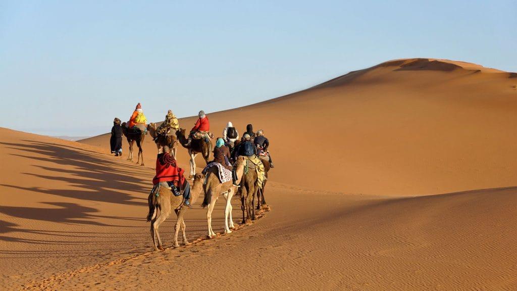 Camel caravan crossing Lahbab dunes during desert riding experience Dubai
