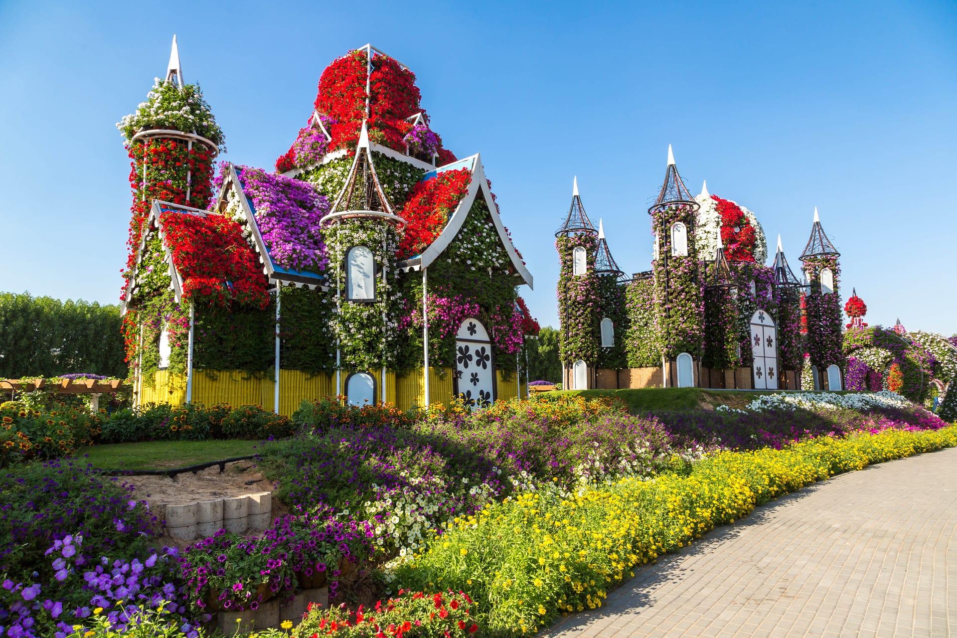 Combo | Dubai Miracle Garden Tour with Dubai Desert Safari