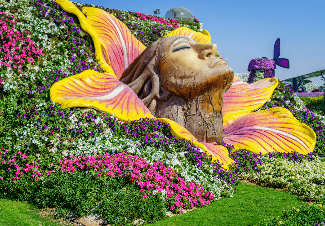 Combo | Dubai Miracle Garden Tour with Dubai Desert Safari