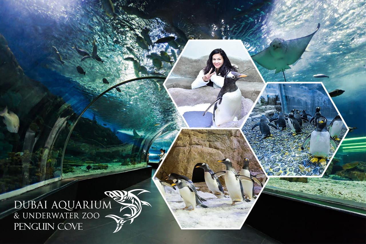 Visitors watching sharks and rays through the giant Dubai Aquarium tank