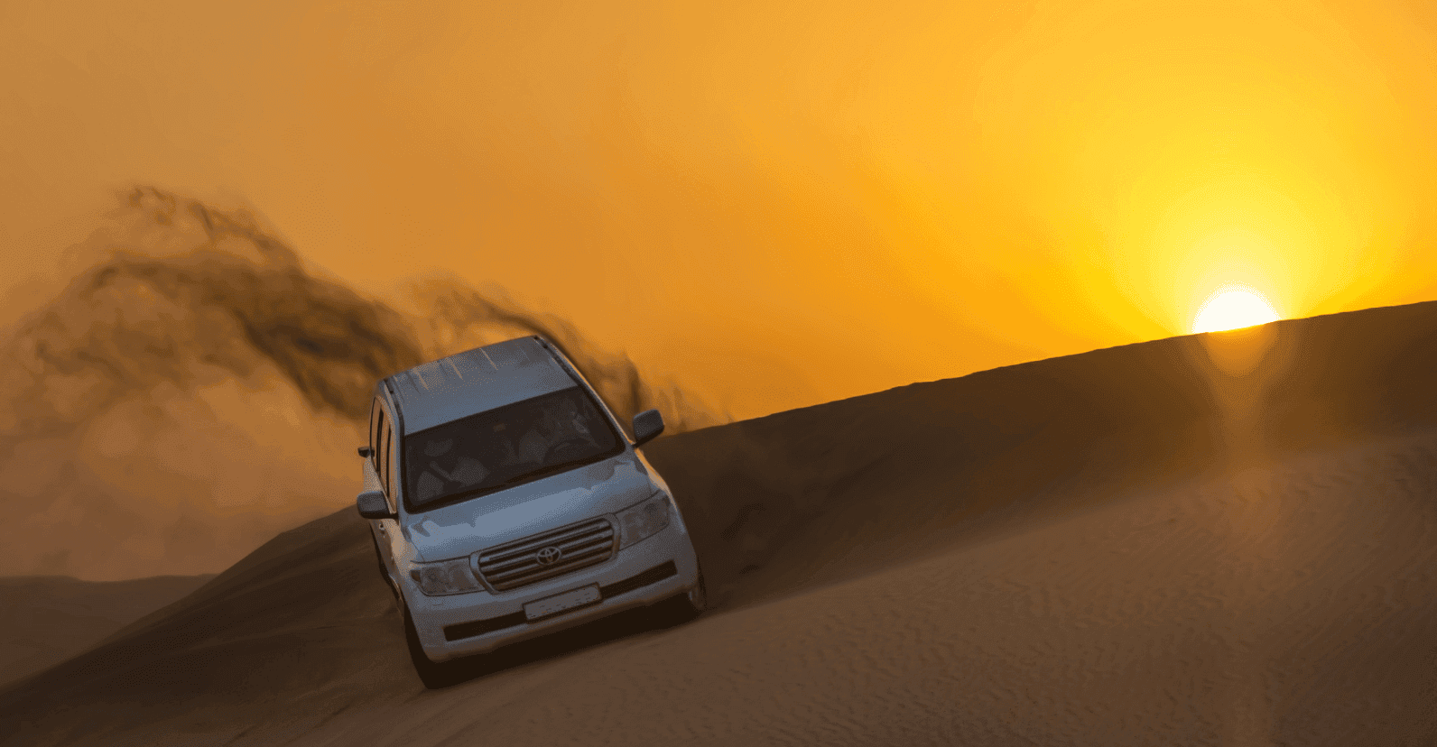 Morning Desert Safari with Premium Yacht Dinner at Marina