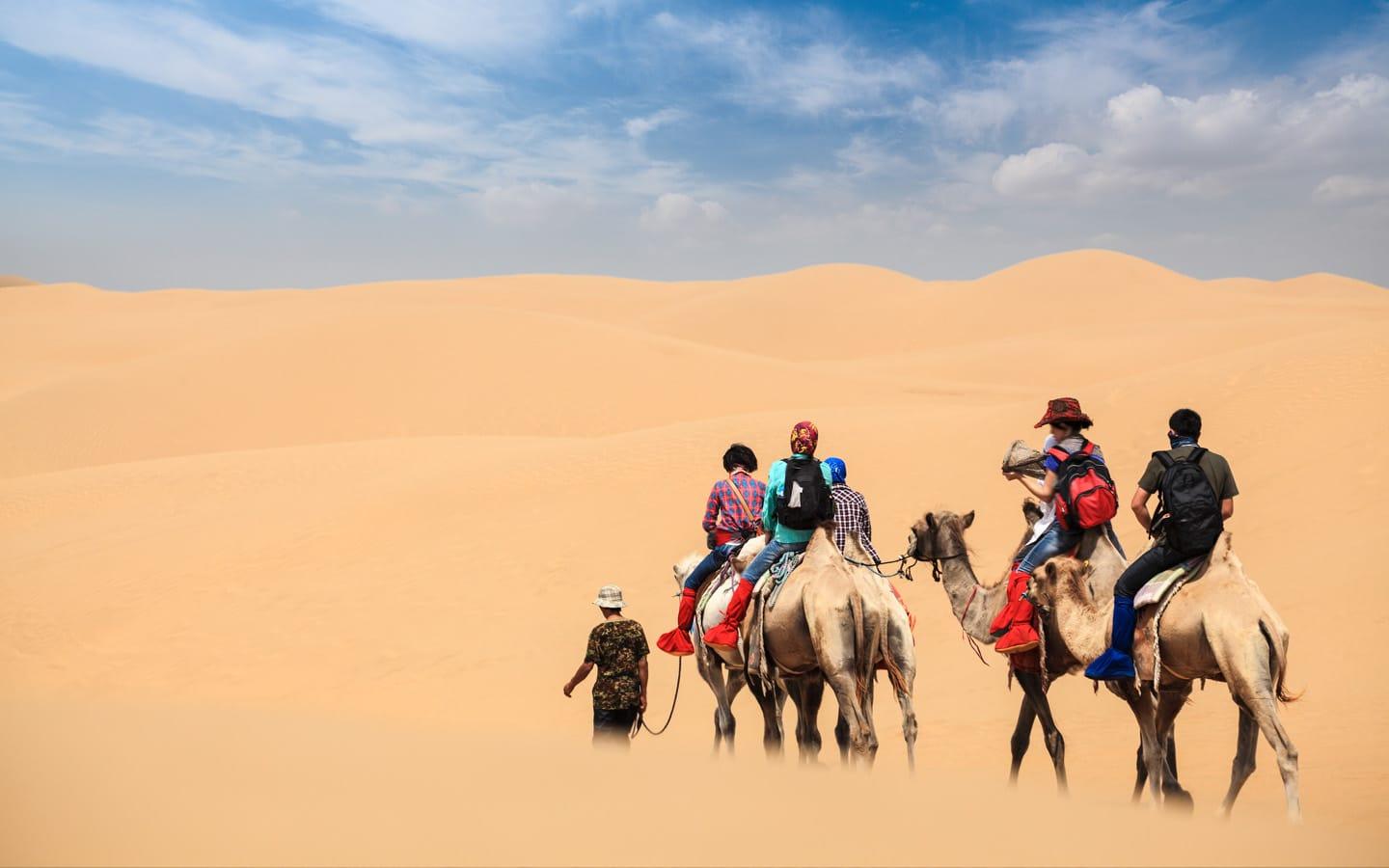 Camel caravan walking across desert dunes during morning safari Dubai