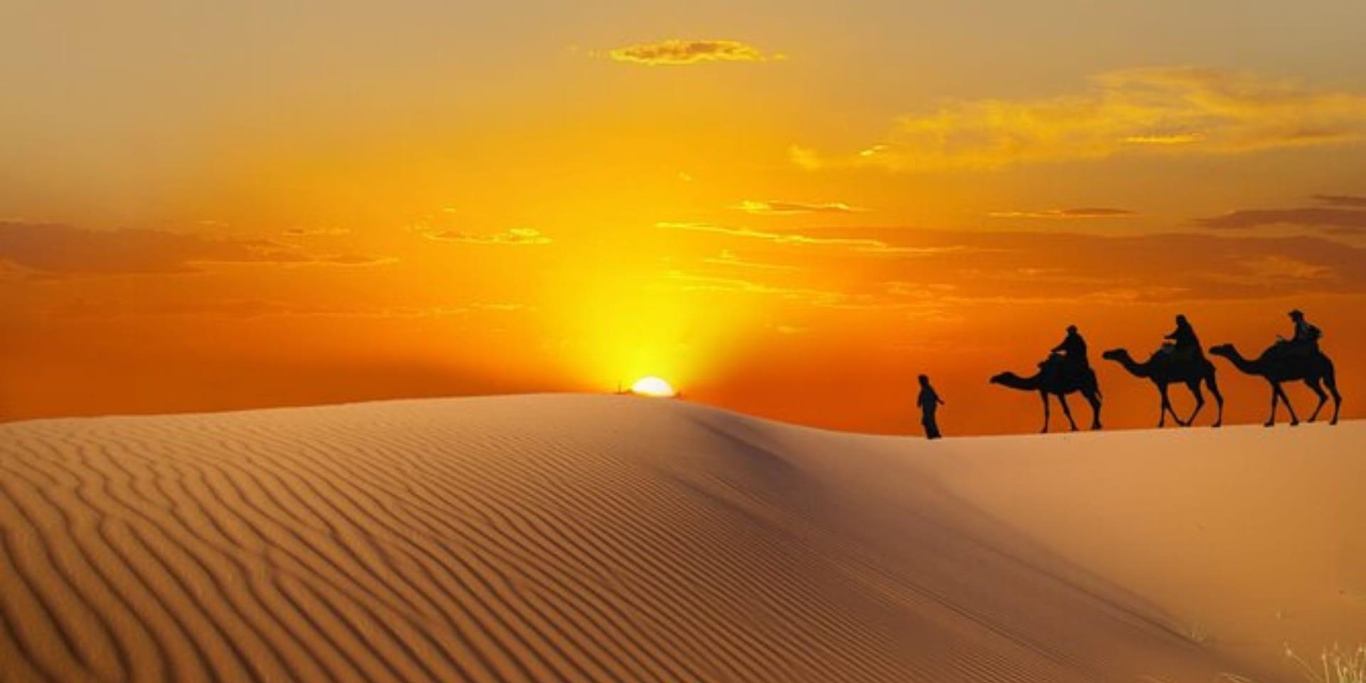 Camels silhouetted against orange sunset sky at Dubai desert camp