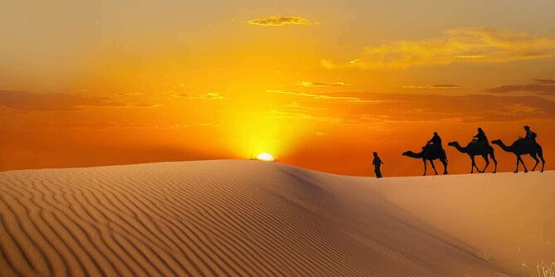 Premium Desert Safari with Dinner at Premium Desert Camp