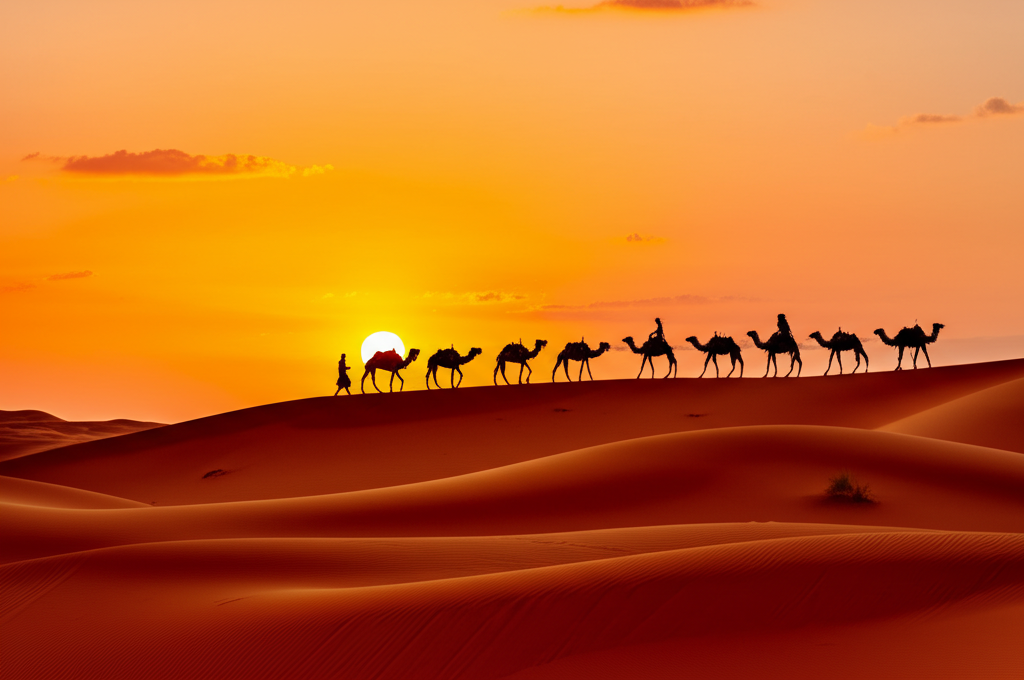 Desert Safari Experience